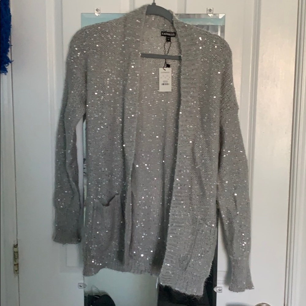 express silver sequin sweater